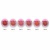 Pink 21 Blush Líquido Multifuncional - CS5965 - Box 24 Un