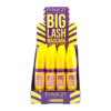 Pink 21 Máscara de Cílios Big Lash - CS2160 - Box 24 Un