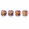 Pink 21 Amora Paleta de Sombras - CS6815 - Box 24 Un